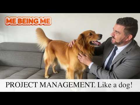 Project Management (Like a dog)
